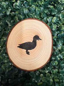 Duck Coaster