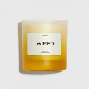SIDIA: Wired Candle - Purity Ash Spices Tonka Tea Leaves Spearmint Ginger Citrus Eucalyptus Sandalwood Tonka Vegan Cruelty Free Hand Poured Made in USA