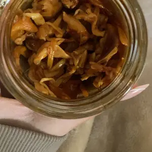 YUMEI Red Oil Spicy Enoki Mushrooms – Szechuan Chili Sauce, Crispy Pickled Mushroom, Chinese Specialty Food Snacks Instant Dishes 6.17oz per Jar (1/2/3/5 Jars)