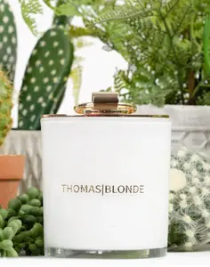 Thomas Blonde: The "Topless Blonde" Candle in Joshua Tree