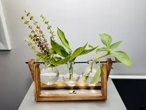 Plant Propagation Station with 3 Glass Bulb Vases, Hydroponic Plant Terrarium Wooden Stand for Indoor Home Decor