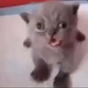 2 oz / 12 oz Pro Grade Liquid Chalk Mess-Free Gym Chalk for Weightlifting, Gymnastics, Rock Climbing, Dancing, Dries in Seconds.