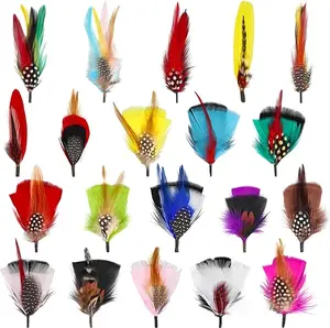 20 Pcs Hat Feathers, Assorted Natural Colorful Feather Accessories for Top Hats, Fedora Cowboy Hats, Christmas Party, Pork Pie Trilby, DIY Decorations (Style 2)