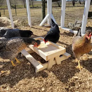 Chicknic Table - Chicken Picnic Table - Chicken Feeder - Chicken Lover Gift - Father's Day Gift *OVER 700 5 STAR REVIEWS!*