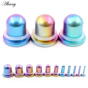 Alisouy 1PC Titanium Gradient Colorful Cylinder Ear Gauges Taper Plugs Tunnel Expander Stretcher Earrings Piercing Body Jewelry