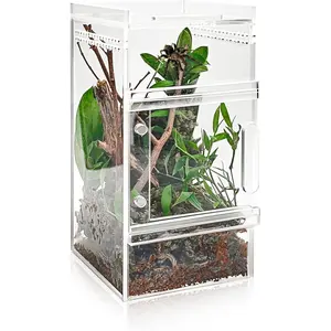 Pre-Assembled 3x3x6 Inch Acrylic Spider Enclosure Insect Terrarium Cage for Tarantula Snail Mantis Lizard and Other Small Reptiles