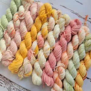 Ambrosia Indie Dyed Yarn Mini Set