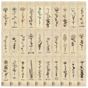 30 Personalized Birth Flower Bookmarks - Unique Series, Simple, Artistic, Creative Paper Bookmarks, Small Cards, Book Decoration Cards, Reading Annotation Cards