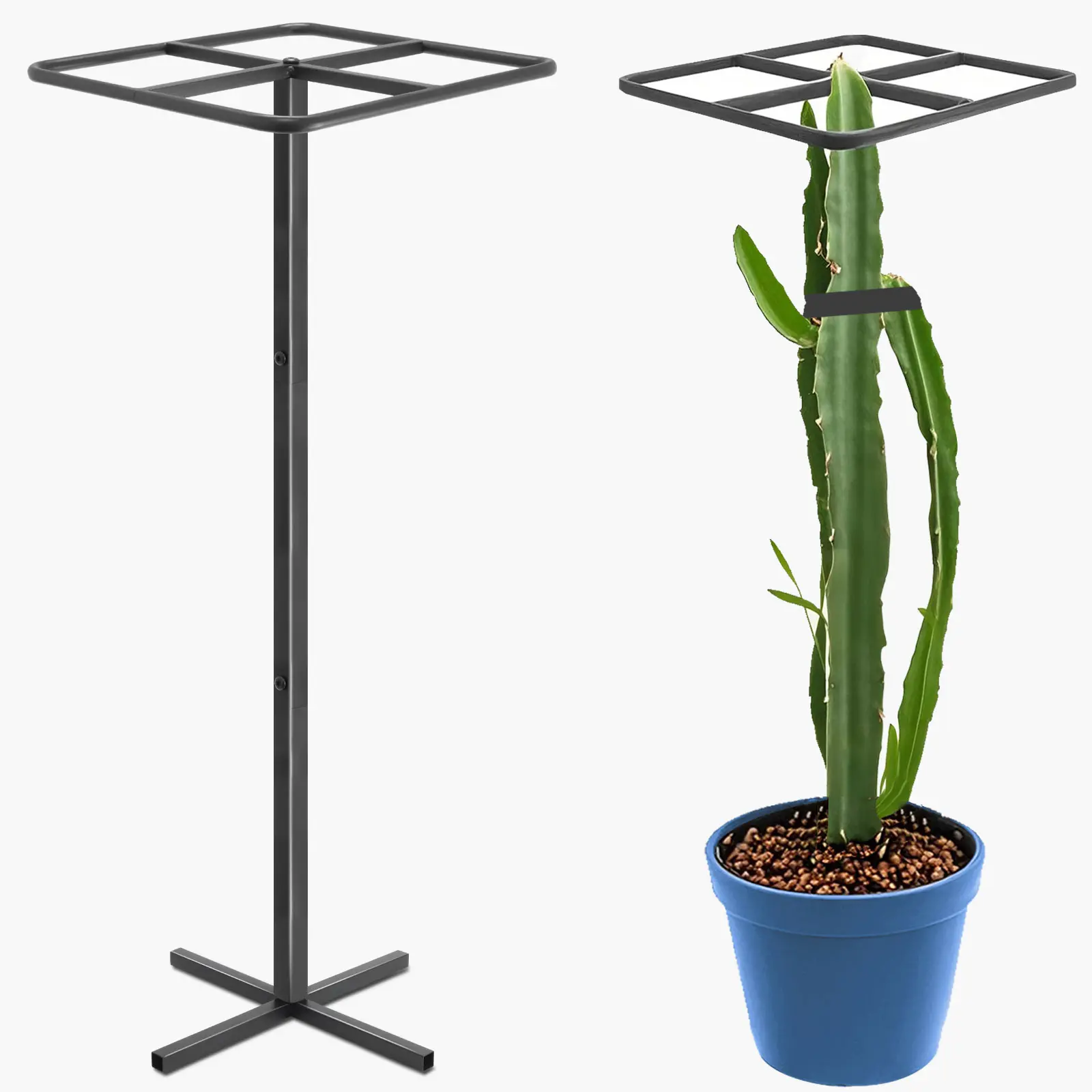 Garden Plant Support Pile, Metal Build Dragon Fruit Trellis, Adjustable Vertical Gardening Support for Climbing Plants, Climbing Vegetable Plants, Indoor-Outdoor Potted Cactus & Tree Support (Black/Green), Climbing Vegetable Plant