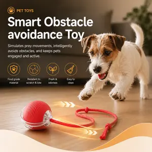 Keep Your Pet Chasing, Playing & Entertained