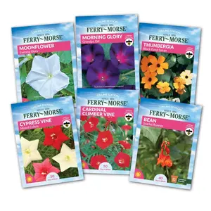 Climbing Vine Flower Seed Variety Pack - 6 Pack