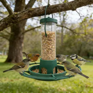 Plastic Hanging Bird Feeder | Outdoor Wild Bird Feeding | Garden Balcony Use, Bird Feeder Station, Squirrel Proof, Seed Tray, No Battery Needed