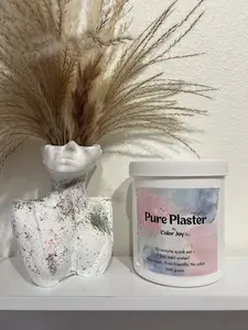 Pure Plaster of Paris for Arts and Crafts by Color Joy