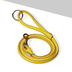 Chic Leather Leash - Yellow