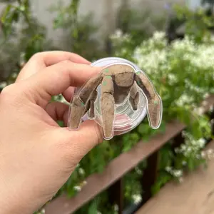 Rocky MagSafe Phone Grip – Project Hail Mary Magnetic Pop Socket & Kickstand – Space Movie Fan Gift