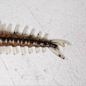 Coreshot Hellgrammite Fishing Bait - 3 Inch