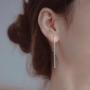 Sparkle Chain Drop Earrings (Pair)