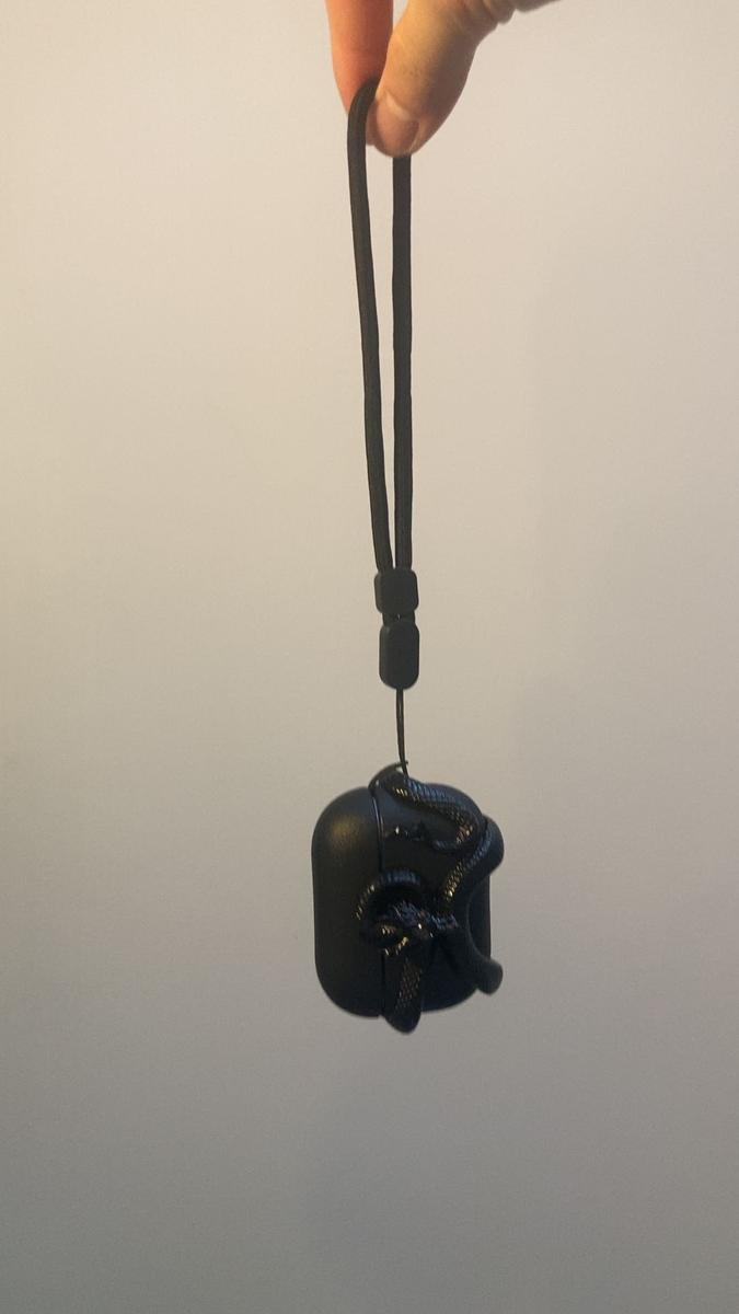 Item: Black Snake With Black Case, Airpods 4