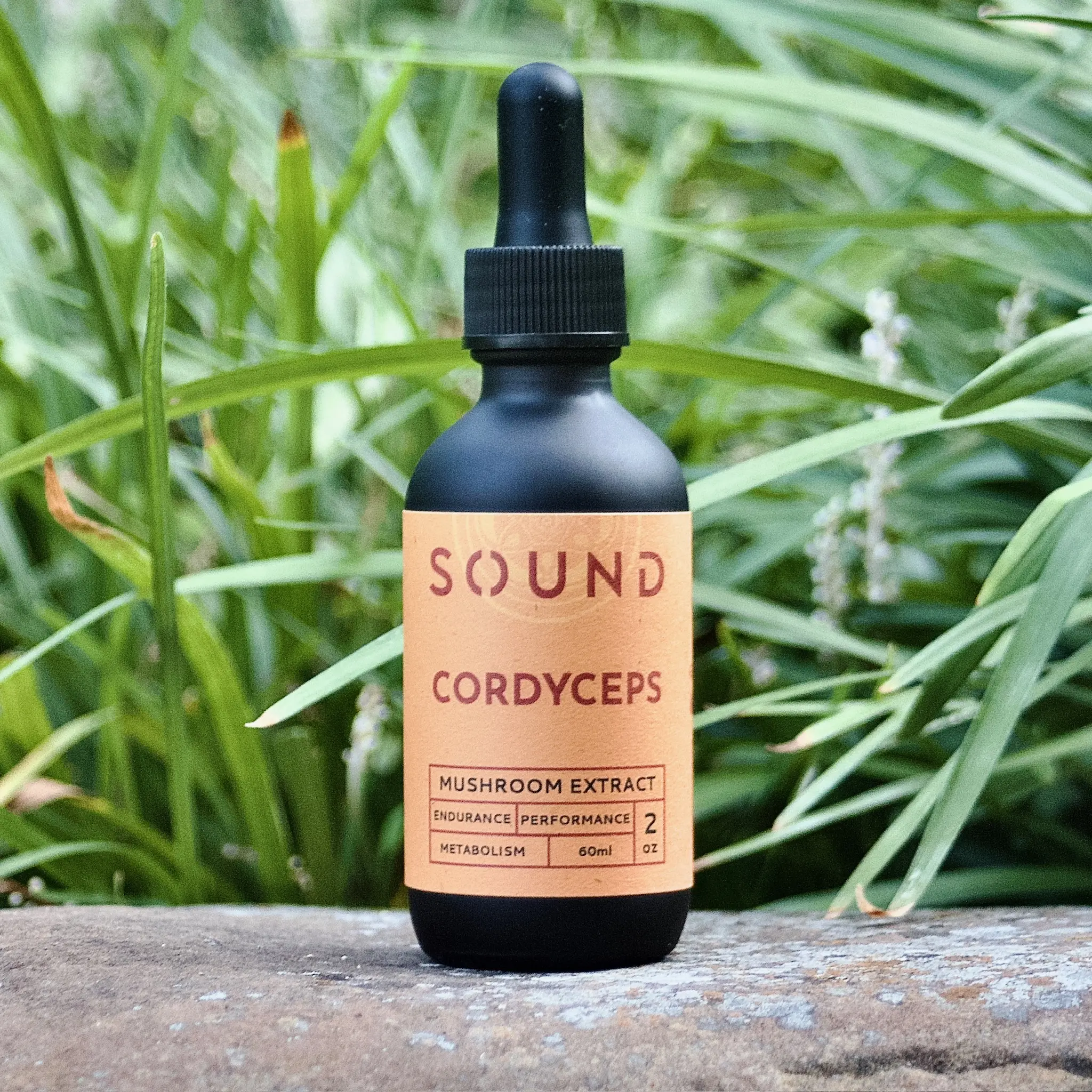 Sound Extractions: Cordyceps Mushroom Extract Healthcare Supplement Fitness Edible Dietary Organic dietary supplement
