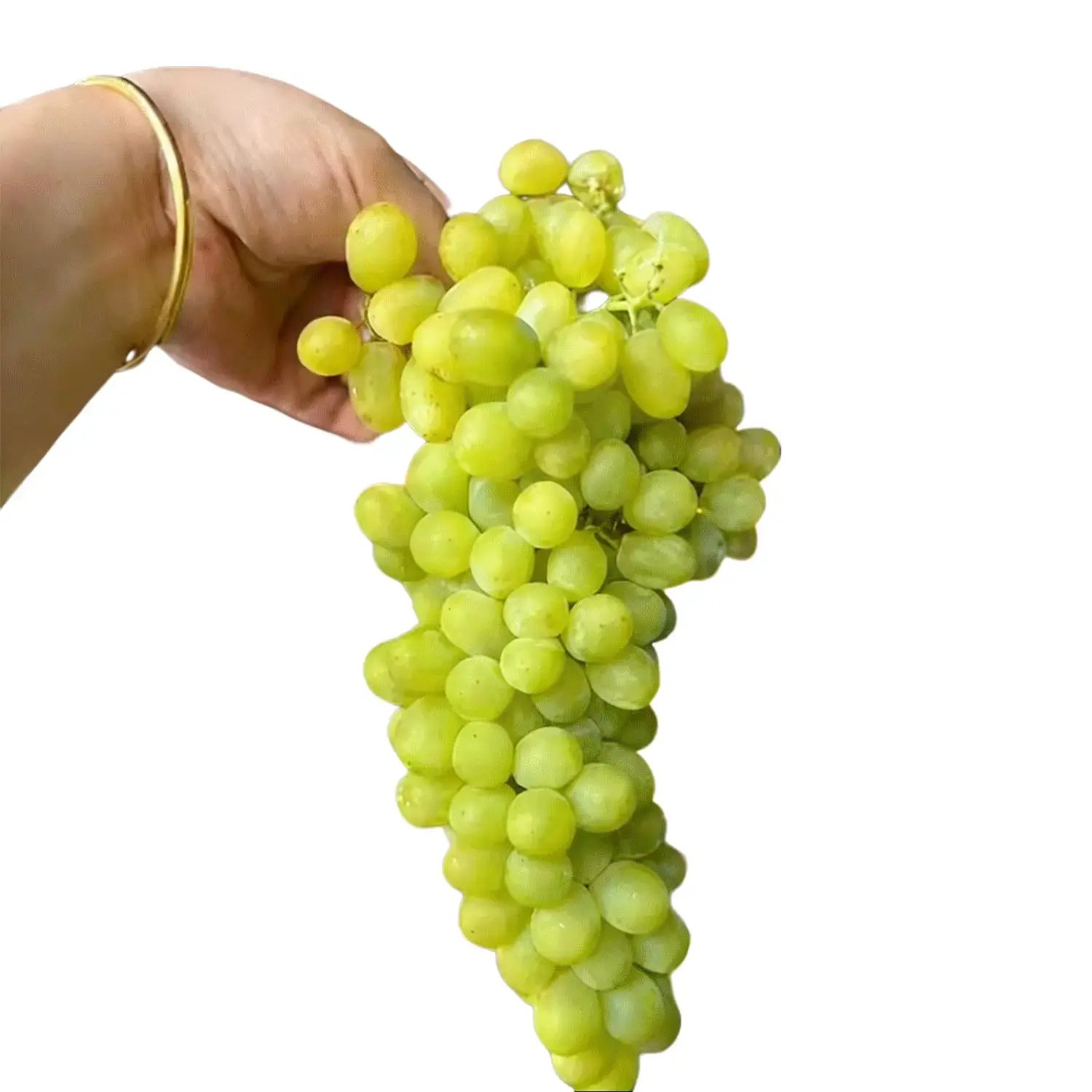 Viral Hot Sultanina Green Seedless Grape Sapling Thin Skin Eat Whole Heat Drought Resistant Backyard Trellis Plant