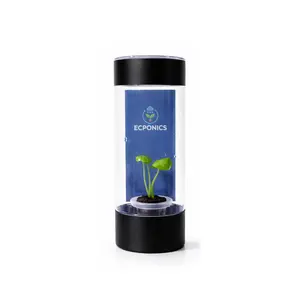 Rare Alocasia 'Mint Elephant Ear' - Starter Plant in ECPonics Capsule (Stable, Easy Care)