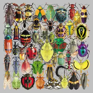 50pieces cartoon insect graffiti creative delicate interesting stickers scooter guitar mobile phone shell decorative transparent stickers