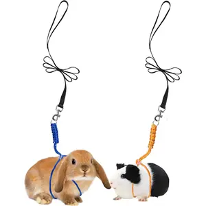 Handmade Figure 8 Harness and Leash for Ferrets/Bearded Dragons/Guinea Pigs/Rats/Chinchillas/Reptiles/Birds/Squirrels/Small Animals