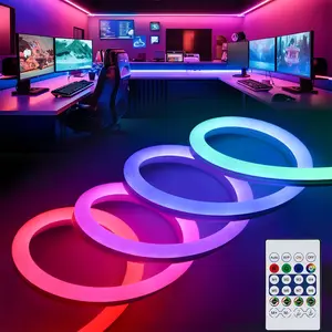 5meter/196.85in Multi-pack USB Flexible Neon Light, Dimmable, RGB LED, Remote Control DIY Shape, for Home Decor, Ambiance, Linear Lighting, Multi-Scene Use, it Can be cut to size to create a romantic atmosphere.
