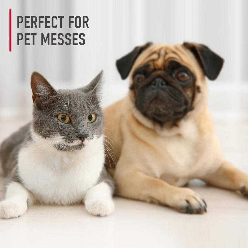 128oz. Pet Carpet Cleaner Solution for Carpet,Upholstery and Car Interior,Eliminate Pet Stains and Odors,Scented Formula