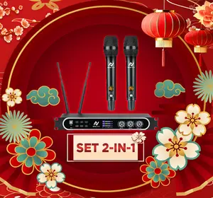 2-in-1 DSP Karaoke Processor w/ Microphones System | NovaLumix | Best in Class