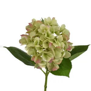 26.5” Freshly Bloomed Hydrangea Stem in Lt. Green/Pink | XJE
