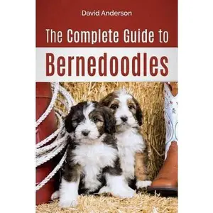 USED Book - The Complete Guide to Bernedoodles: Everything you need to know to successfully raise your Bernedoodle puppy! by Anderson, David (Paperback) - english