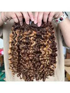 BrisRawHairCo Burmese Deep Curly 100% Human Hair Colored Bundles 4/27 Bundles