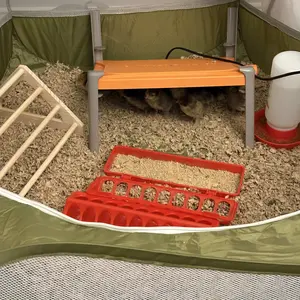 Pawaboo 5-in-1 Chicken Brooder Box for Chick Starter Kit, Includes Pet Cage Tent, Chicks Perch, Chick Feeder, 1.1L Chick Waterer, Baby Chick Supplies (Brooder Set), Green + Red + Wood Color