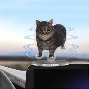 Oiiai Spinning Cat, Clear Acrylic Decorations, Relieve Stress, Fidget Ornament for Electronic Music Art, Creative Collectible Home Decor for Kitten