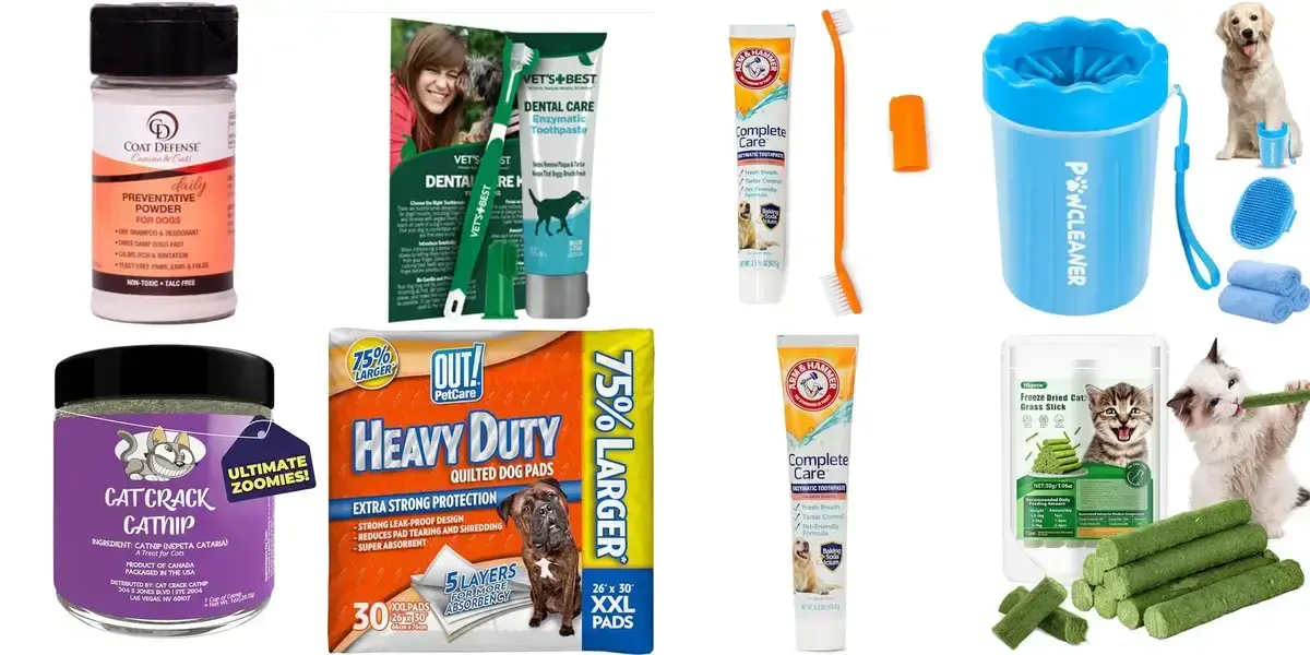 background preload poster image 