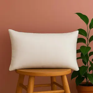 Trendy Home 12x18 Throw Pillow Insert, Cushion Sham Stuffer Hypoallergenic, Lumbar Support Decorative Home Outdoor Couch Bed Pillow Filler (Non Woven)