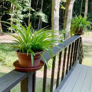 10pcs  Plant Saucer, Heavy Duty Plastic Plant Saucer Round, Plant Tray For Pots, Flower Saucers For Indoors, Bird Bath Bowls, Trays For Planter Terracotta Color，Plastic flower pot chassis round brick red flower pot bottom bracket, Garden Accessories