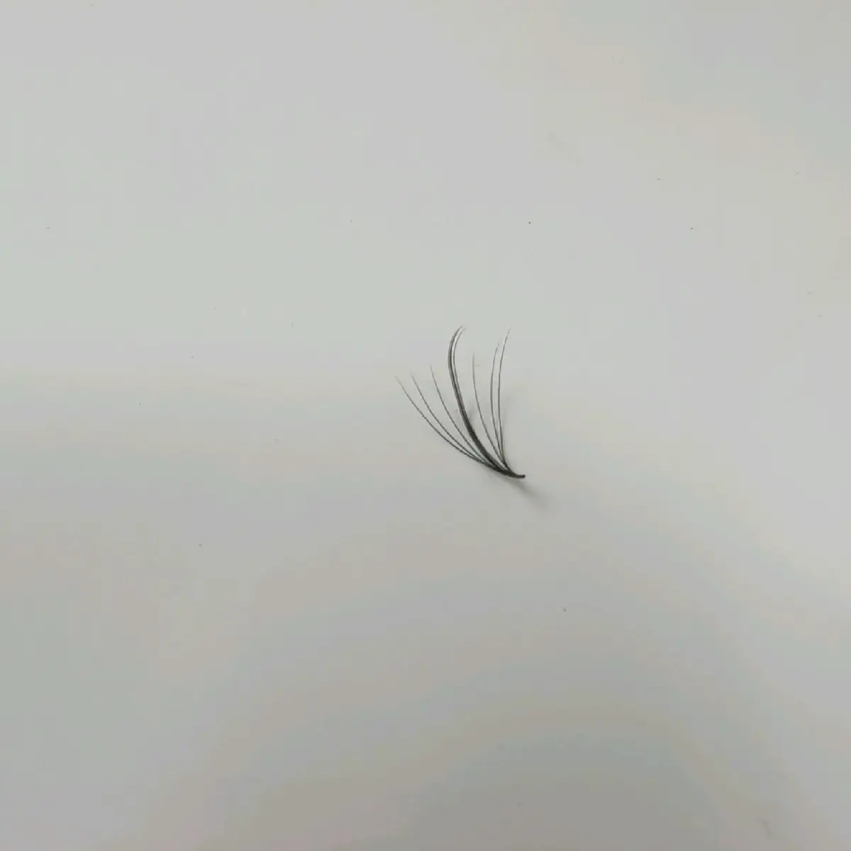 Wispy Promade Lashes Loose fans Premades