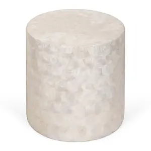 Tasi Round Capiz Shell Accent Table