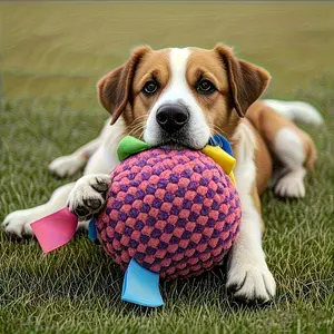 Heavy-duty chew-resistant dog ball with a bell - interactive tug, soft training ball, suitable for aggressive chewers, all breeds and sizes, indoor/outdoor fetch, durable polyester puppy teething toy, for mental stimulation and exercise, lively design, st