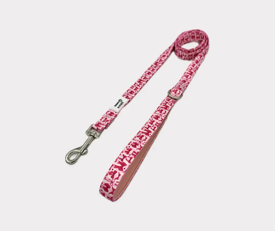 5 ft. Dog Leash - Diva
