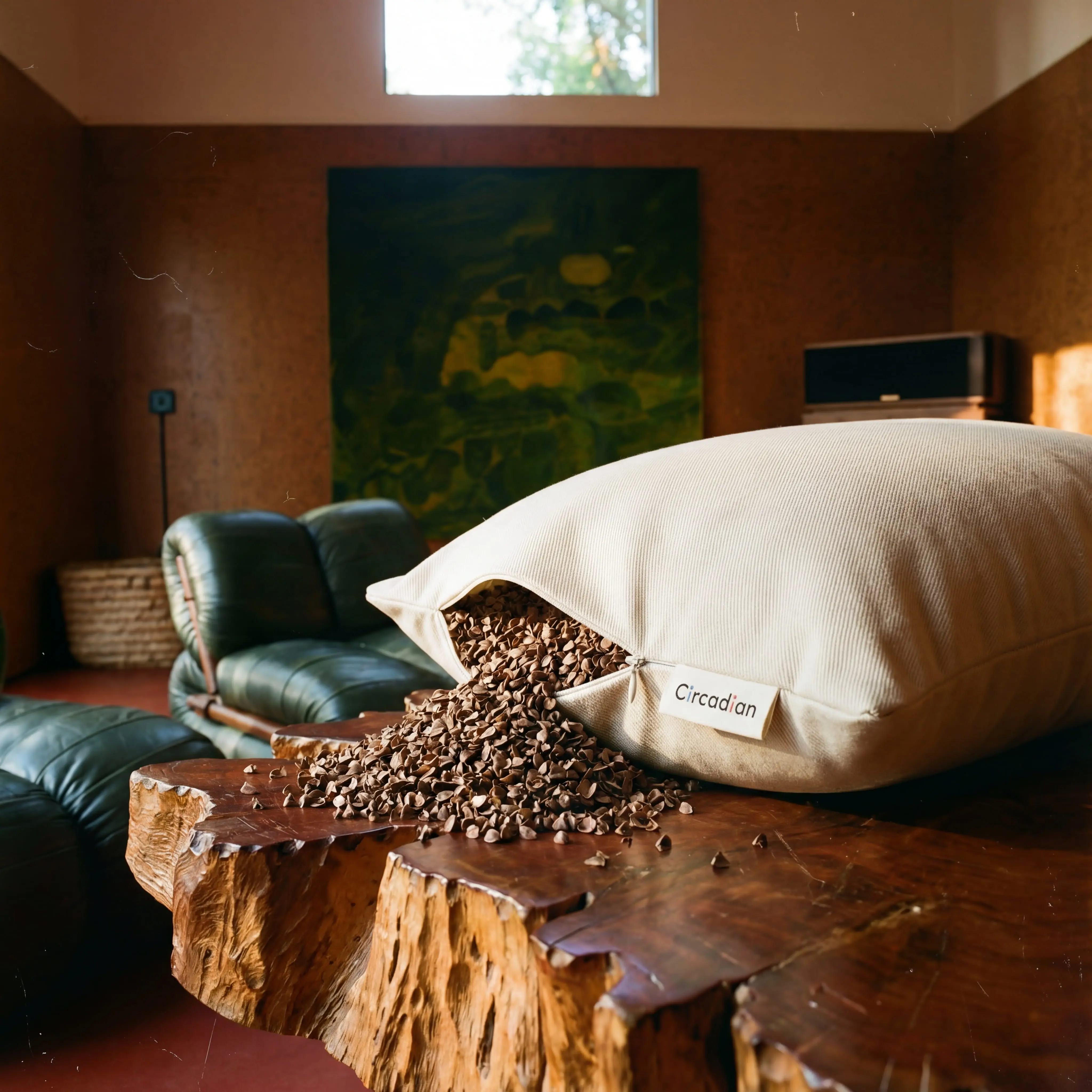 Buckwheat Pillow
