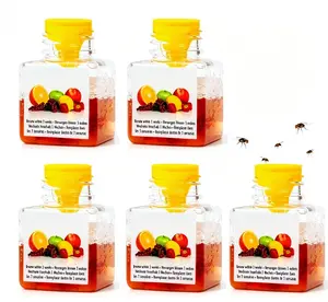 5 Pack Fruit Fly Traps for Indoors – Highly Effective Gnat & Fruit Fly Catcher for Kitchen, Home – Sticky Bug Trapper with Powerful Lure (Non-Toxic, Ready to Use)