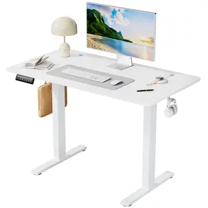 Electric Standing Desk，3 Height Memory，154 LB Capacity With Anti Collision，Ergonomic Adjustable Desk For Home Office And Gaming