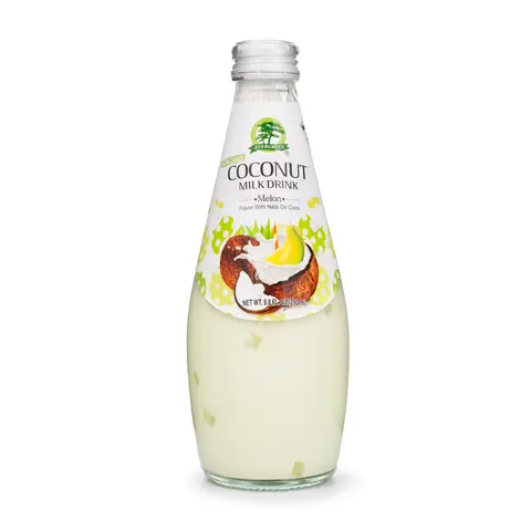 Coconut Milk Drink Melon Flavor 9.8 oz