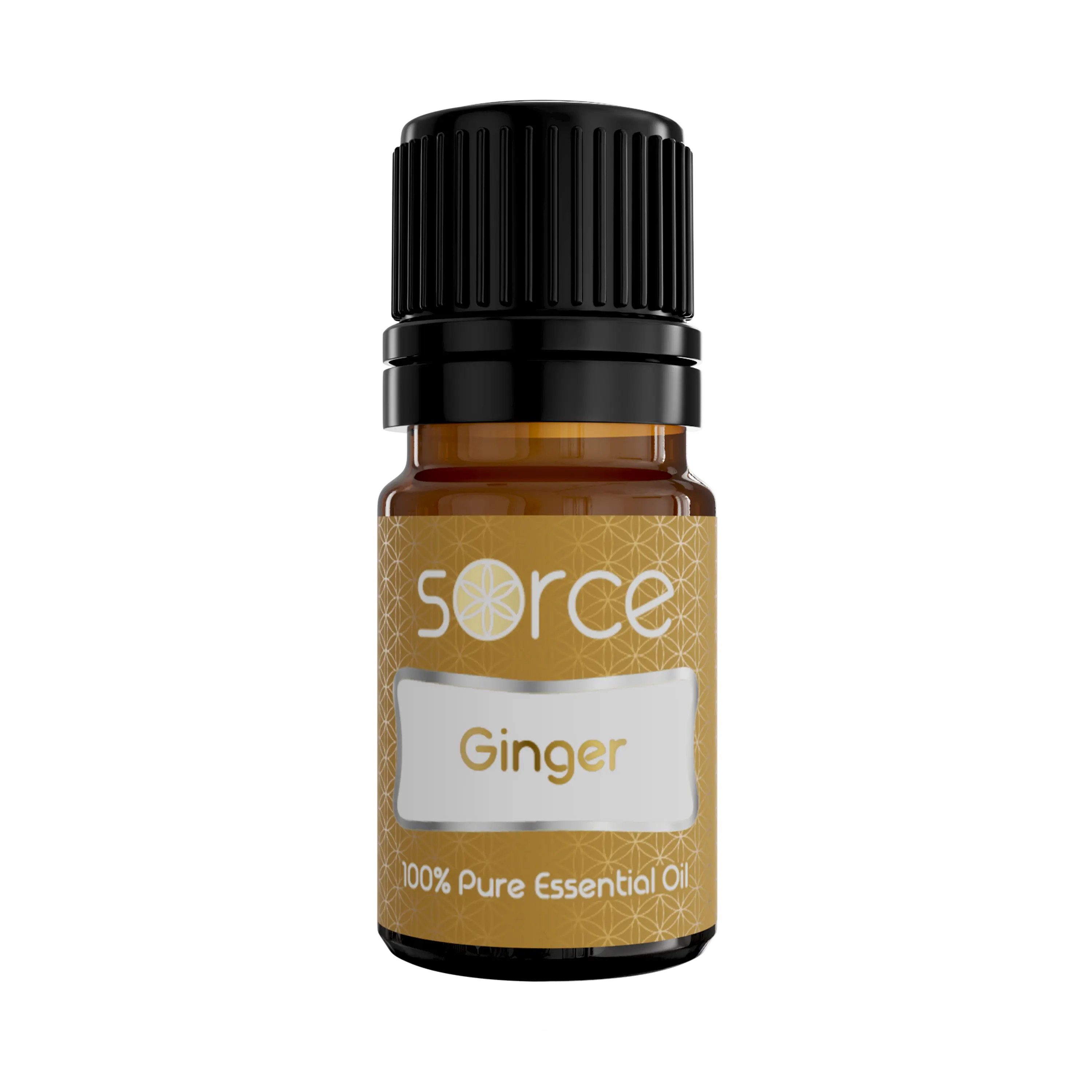Ginger Essential Oil