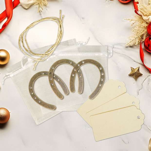 Lucky Horseshoe Gift Set 3PCS Metal Horseshoes with Tags Good Luck Decoration for Wedding Party Derby Décor