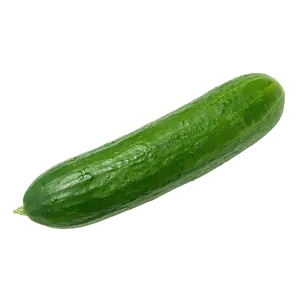 50+ Cucumber Seeds For Planting Heirloom Vegetable Seeds
