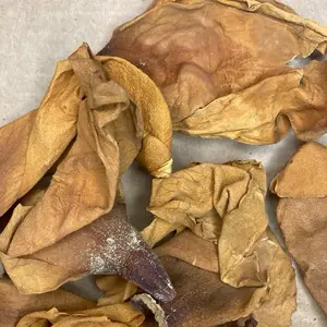 Sleepiest Time Incense - Wildcrafted Magnolia Petals, Chamomile, Passionflower, and Blue Vervain Limited Edition 51g pouch